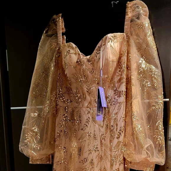 Blush pink Marmaid dress never worn size 18 ...for evening, wedding, etc - Picture 8 of 8